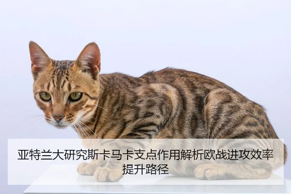 亚特兰大研究斯卡马卡支点作用解析欧战进攻效率提升路径